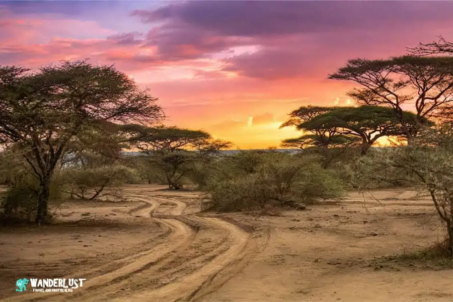 Camping in the Serengeti