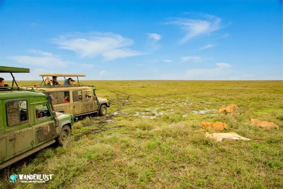 Camping in the Serengeti