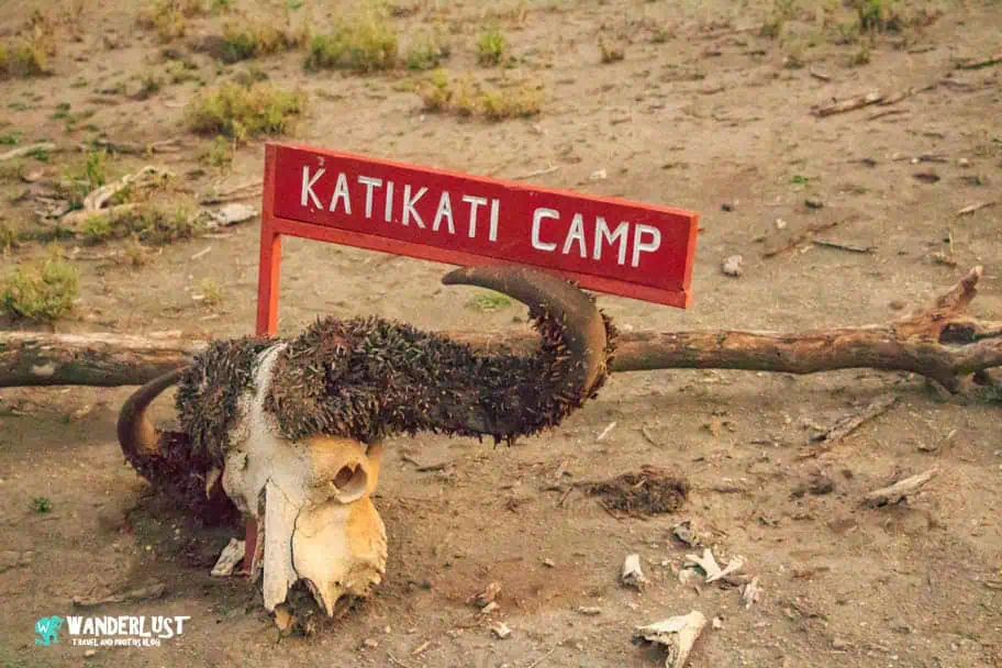 Camping in the Serengeti