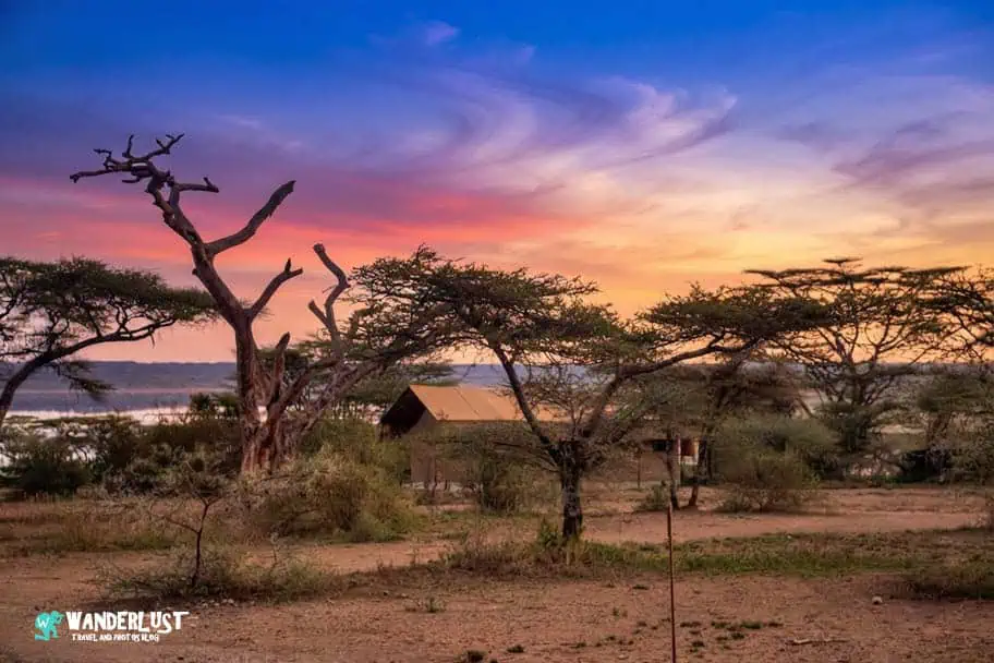 Camping in the Serengeti