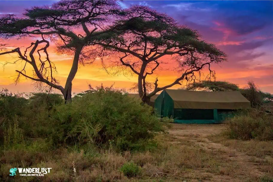 Camping in the Serengeti