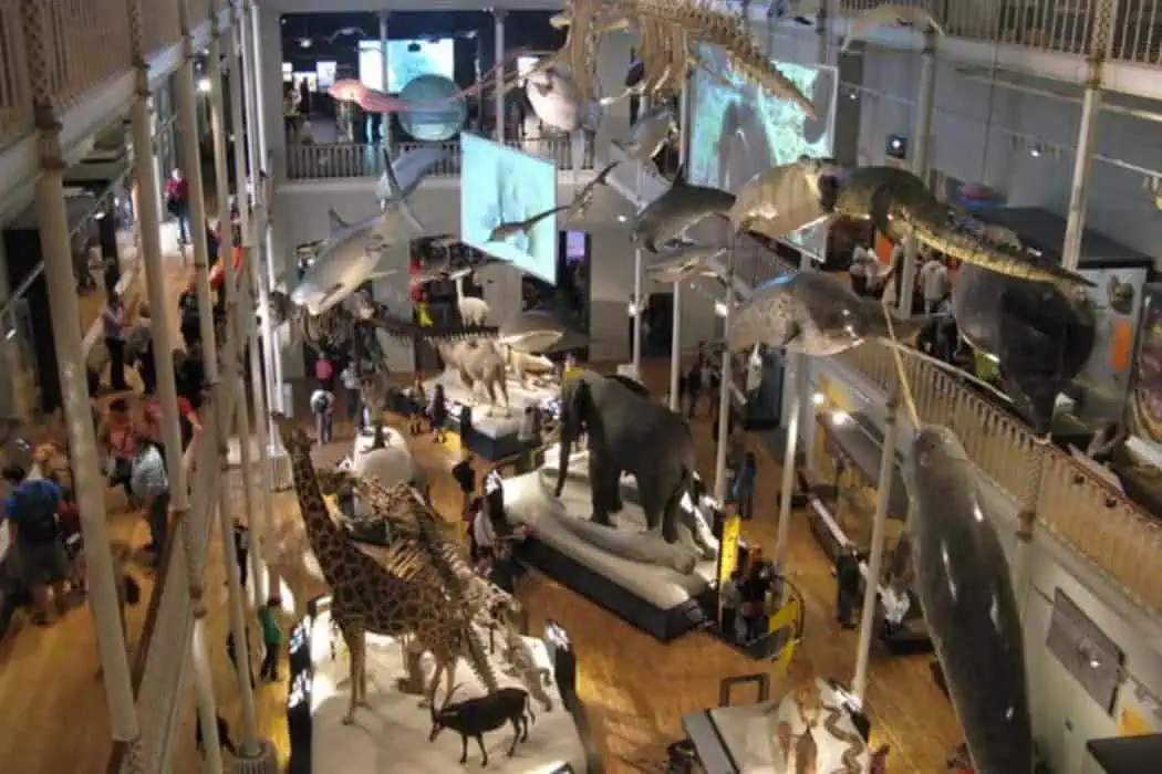 National Museum of Scotland