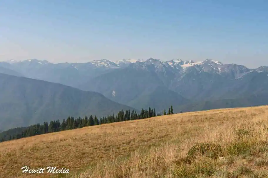 Best Hikes in the National Parks - Hurricane Hill in Olympic