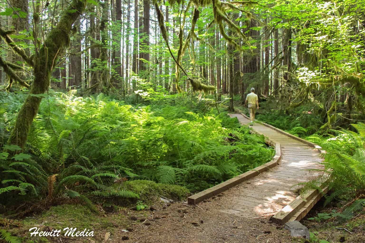 Olympic National Park Guide