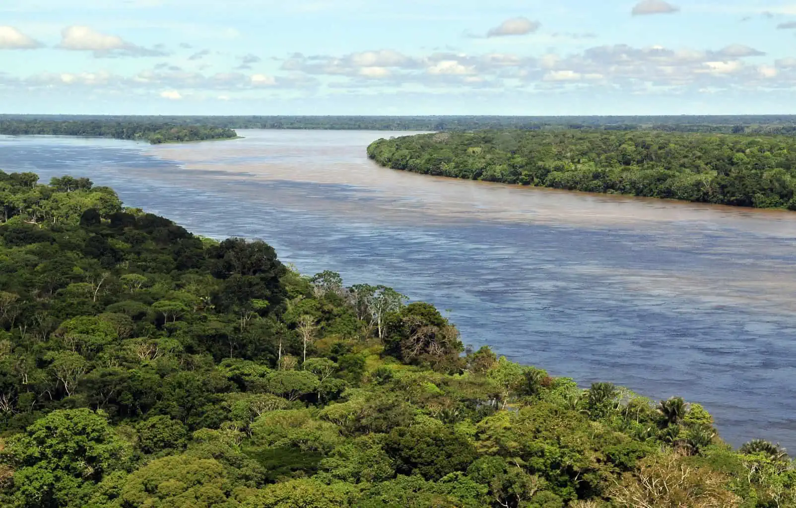 The Amazon Rain Forest