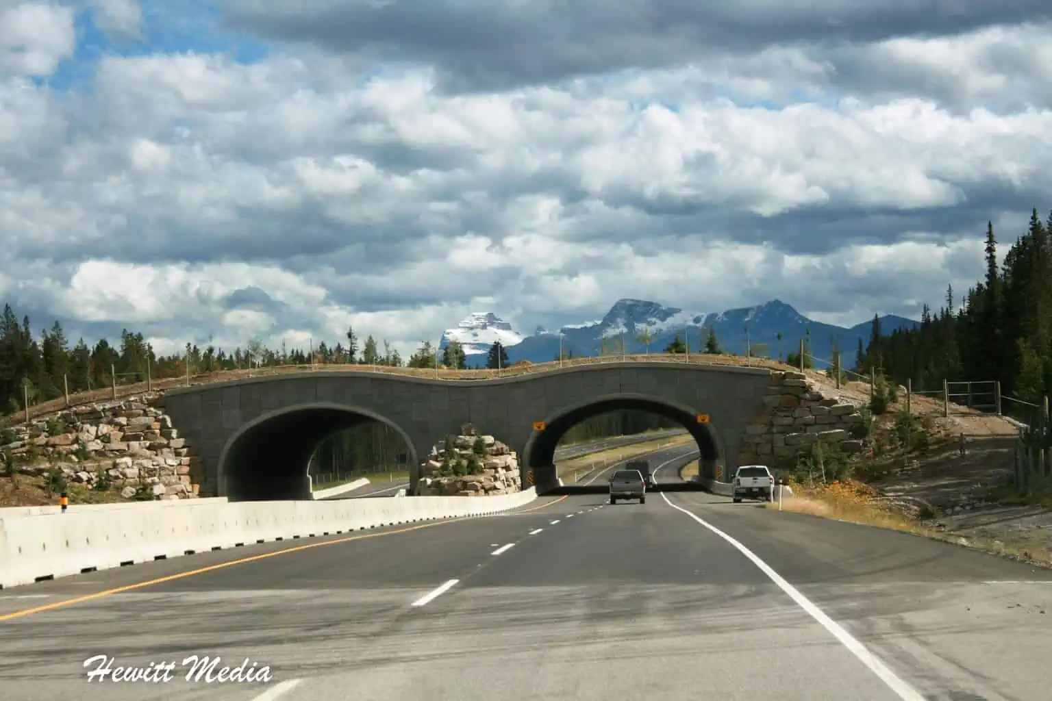 Wildlife bridge near Banff, Alberta