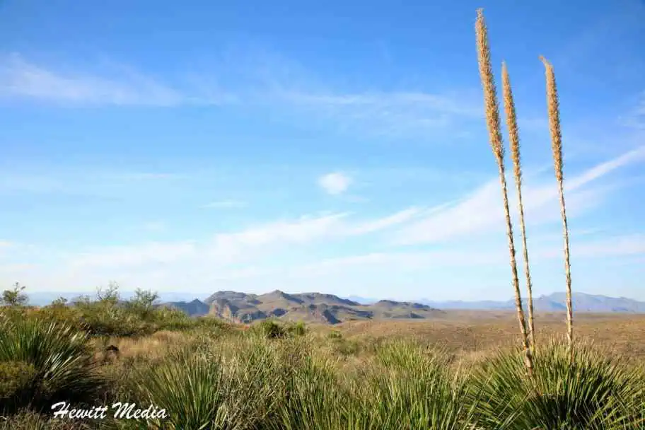 Best Hikes in the National Parks - Cattail Falls Trail in Big Bend