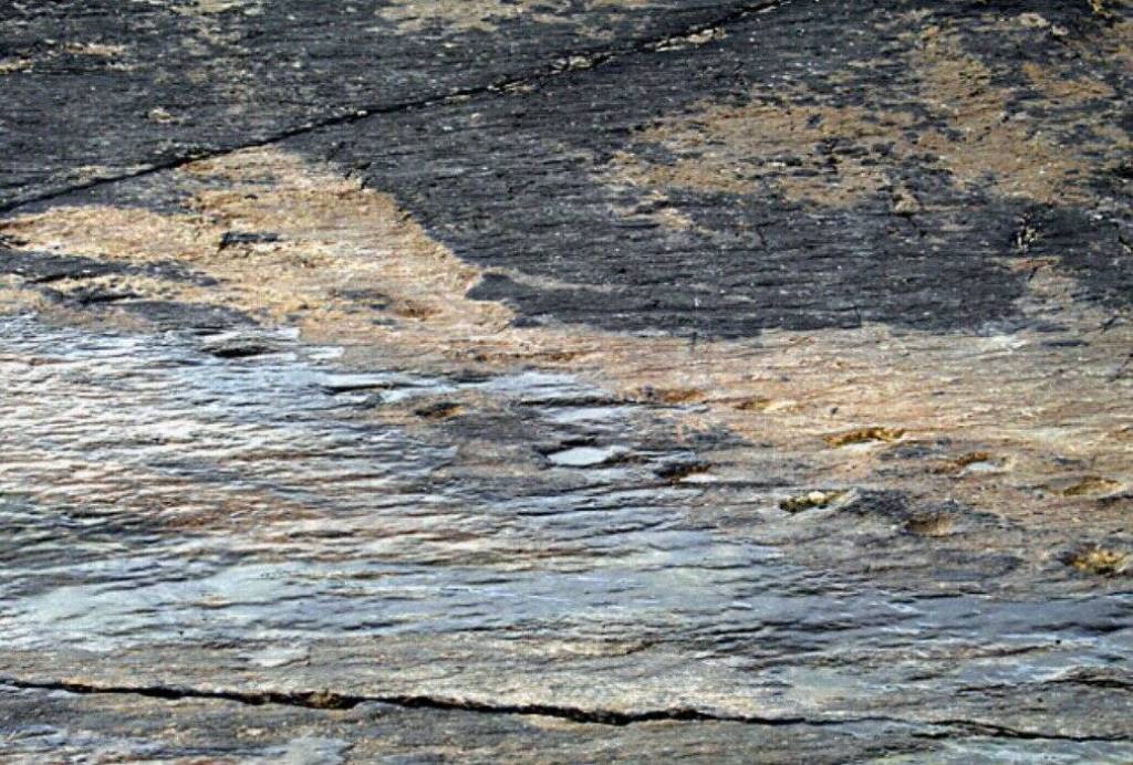 Tetrapod Tracks on Valentia Tetrapod Tracks on Valentia