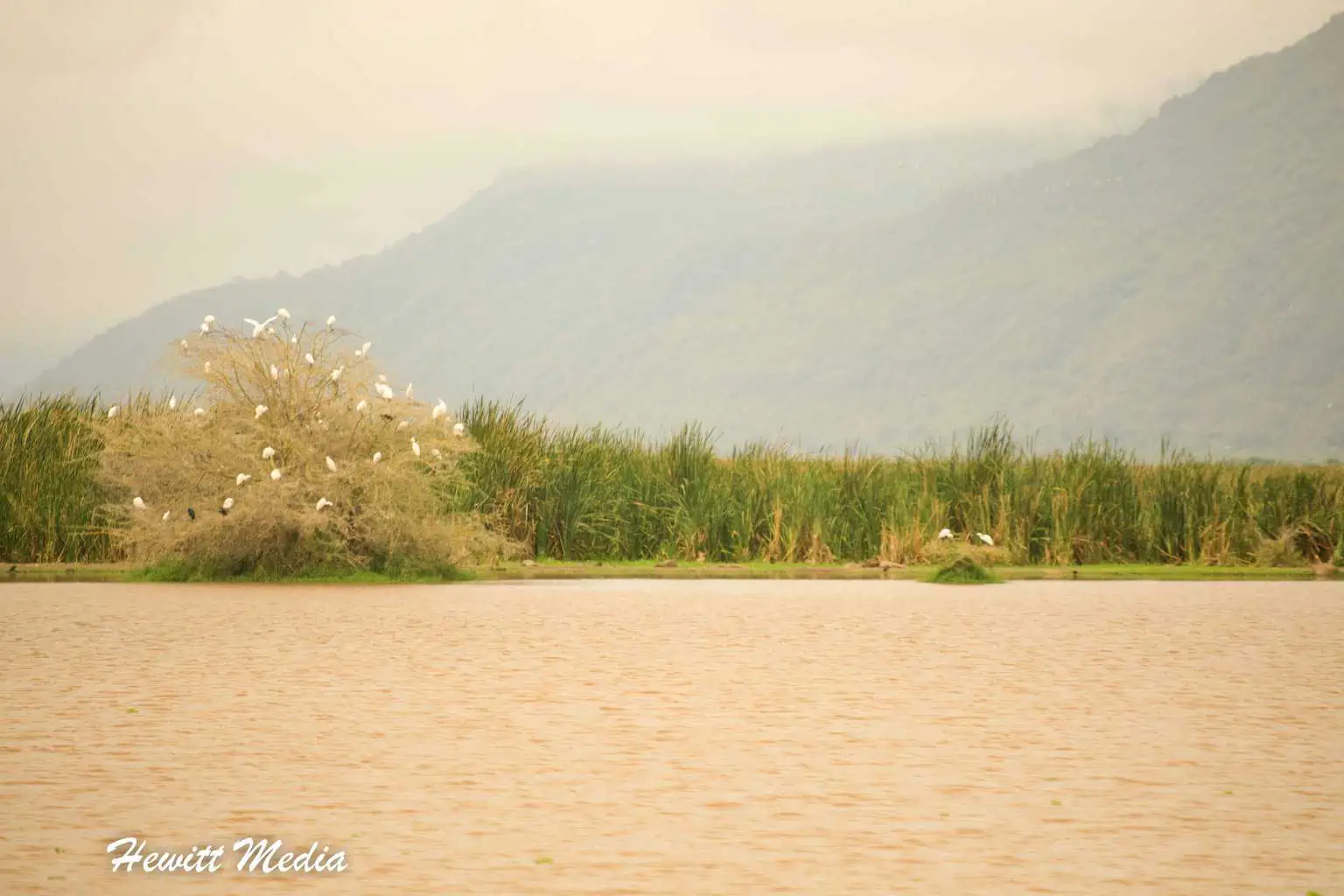 Lake Manyara Safari Tanzania