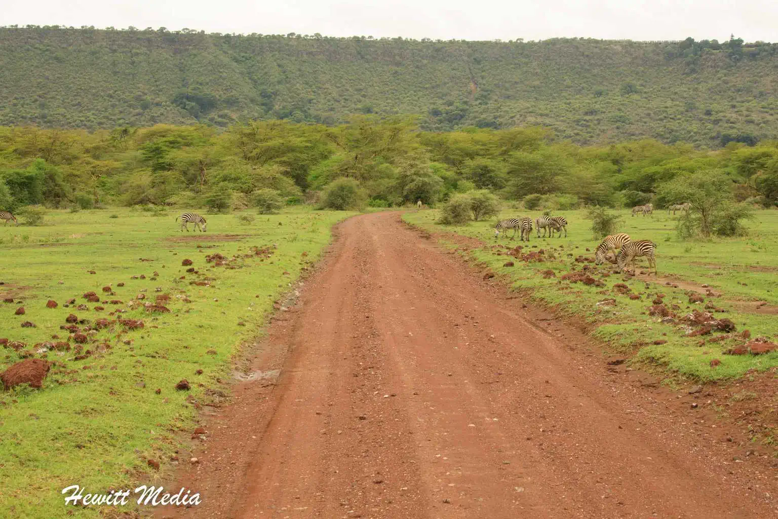 Lake Manyara Safari Tanzania