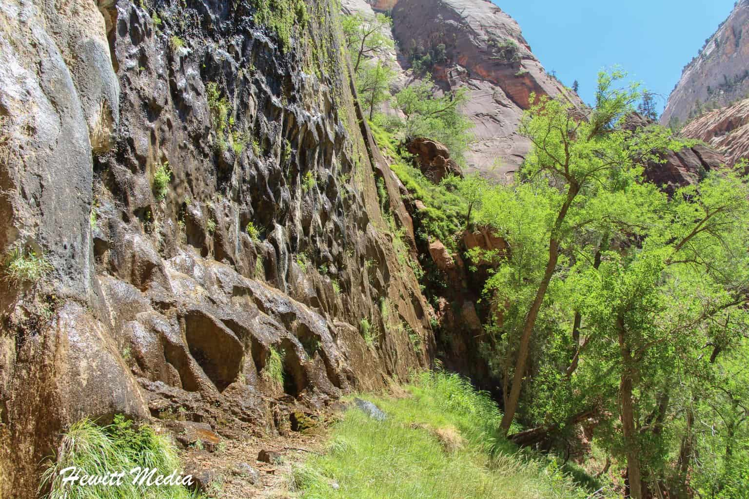 Parks Trip to Southern Utah and Arizona - Zion Emerald Pools Hike