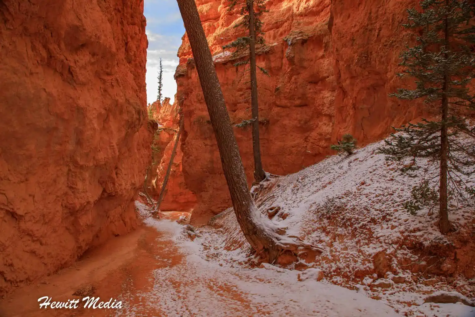 Bryce Canyon Visitor Guide