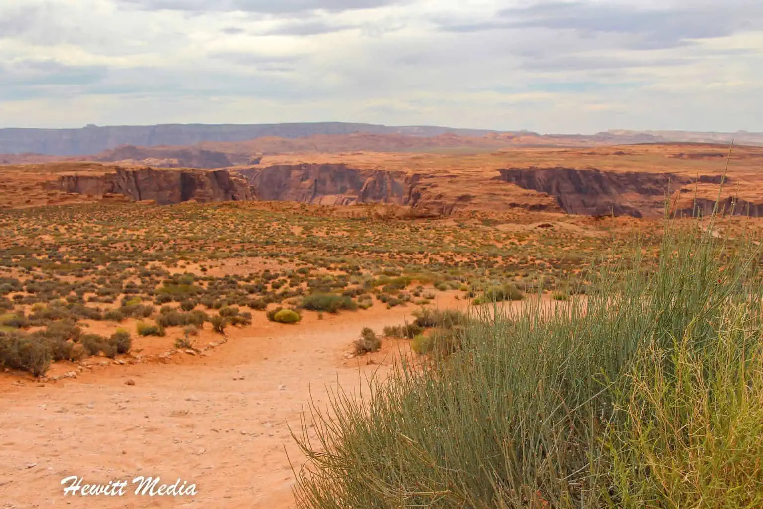 Horseshoe Bend Guide