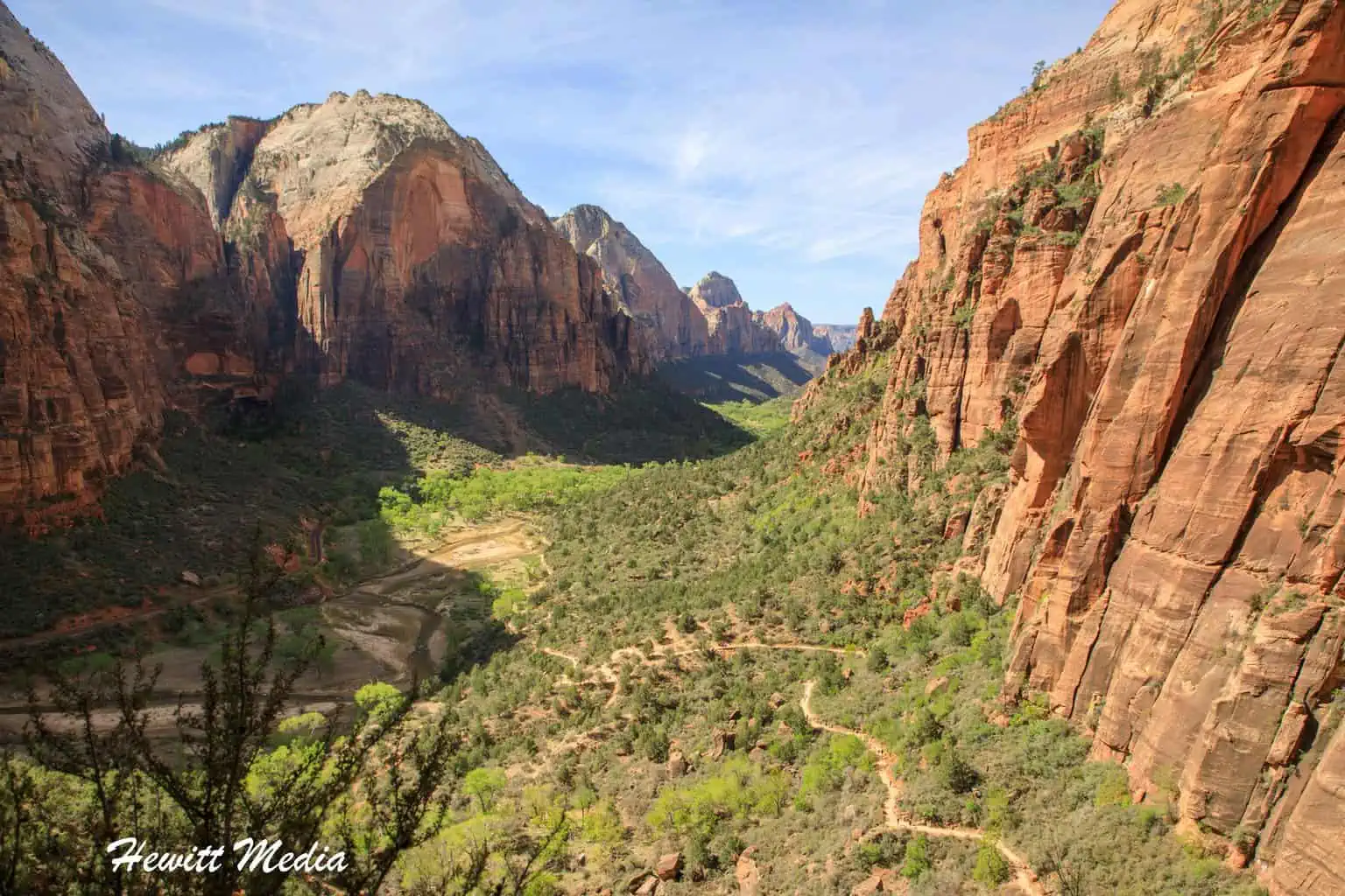 Visiting the United States - Zion National Park
