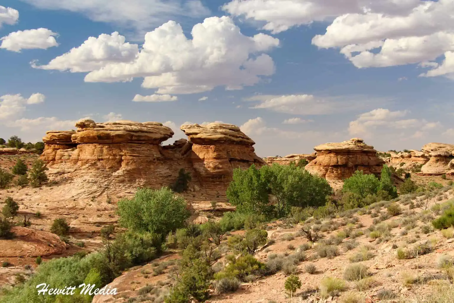 Canyonlands National Park Guide