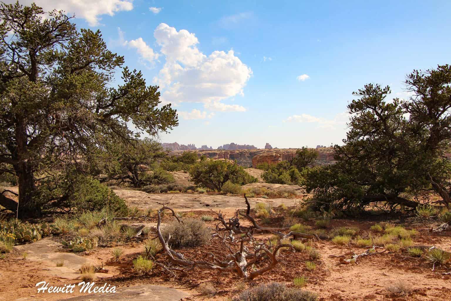 Canyonlands National Park Guide