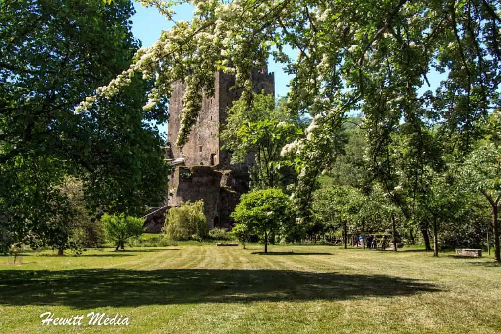 Blarney Castle Visitor Guide
