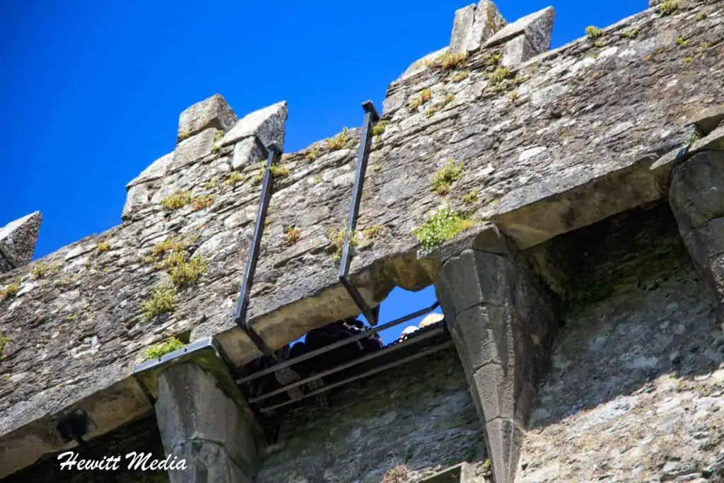 Blarney Castle Visitor Guide