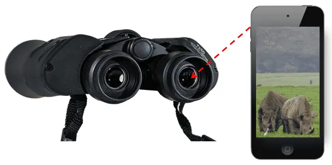 Using binoculars to zoom a phone camera on safari