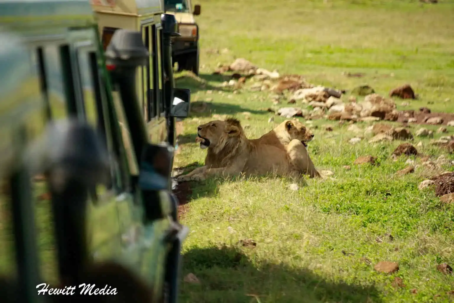 The Art of Travel Photography – Photography Tips for Safaris in Africa
