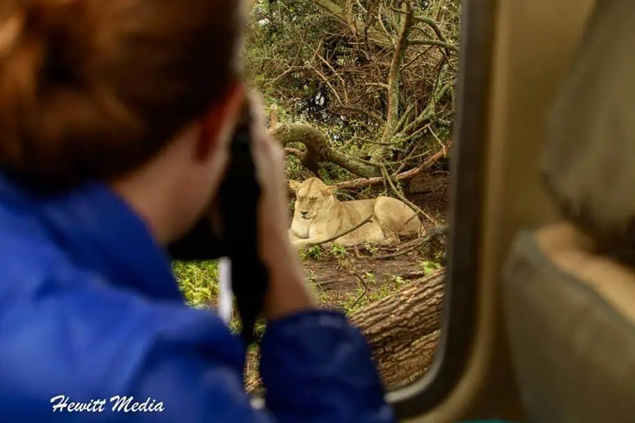 On Safari in the Serengeti Photography Tips for Safaris