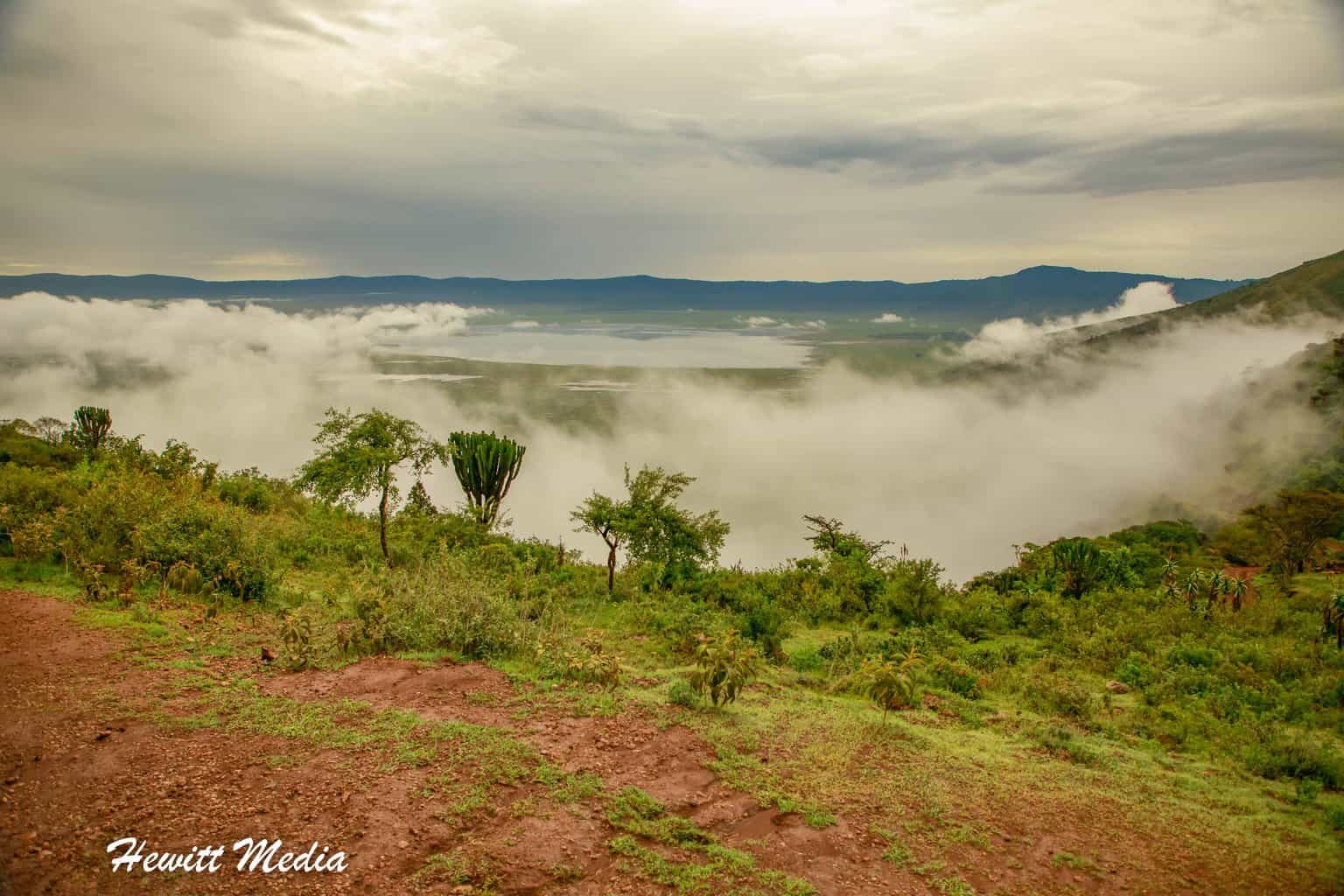 Ngorongoro Crater Safari Guide