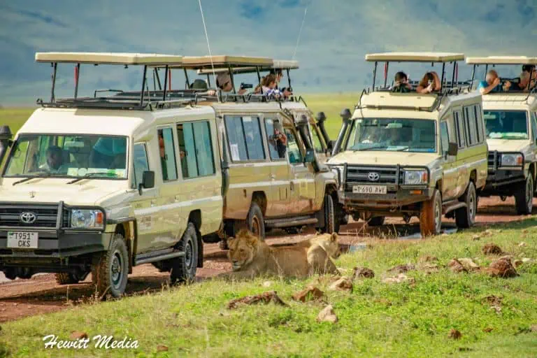 The Ultimate Tanzania Safari Itinerary