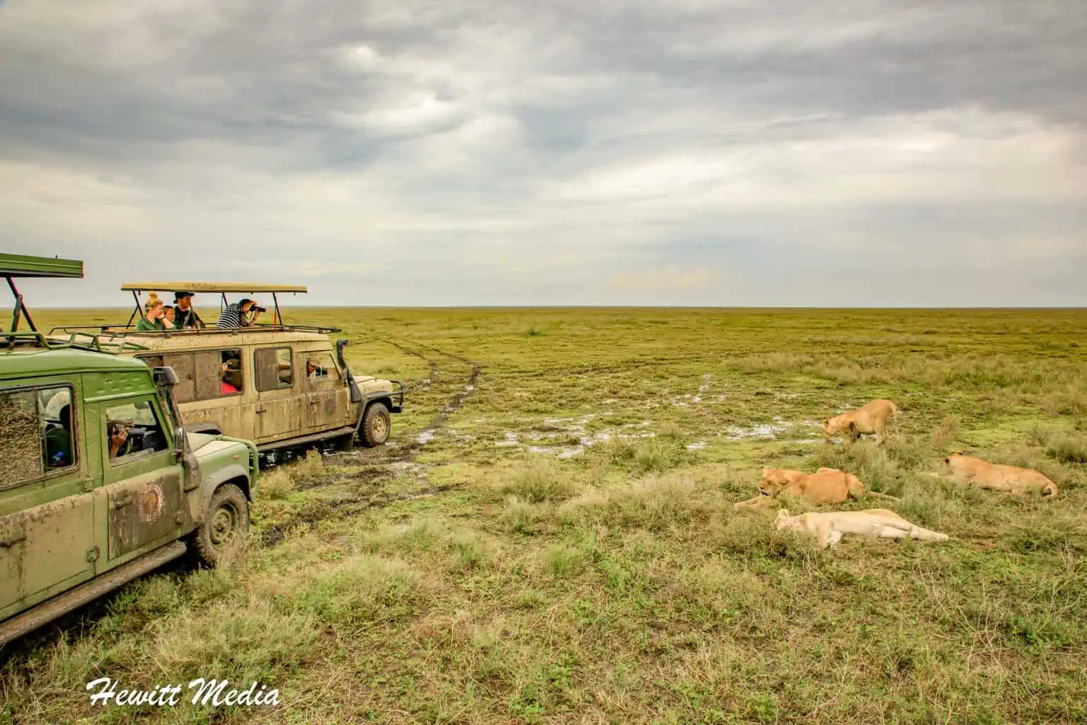 Instagram Travel Photography - Serengeti National Park Sunset