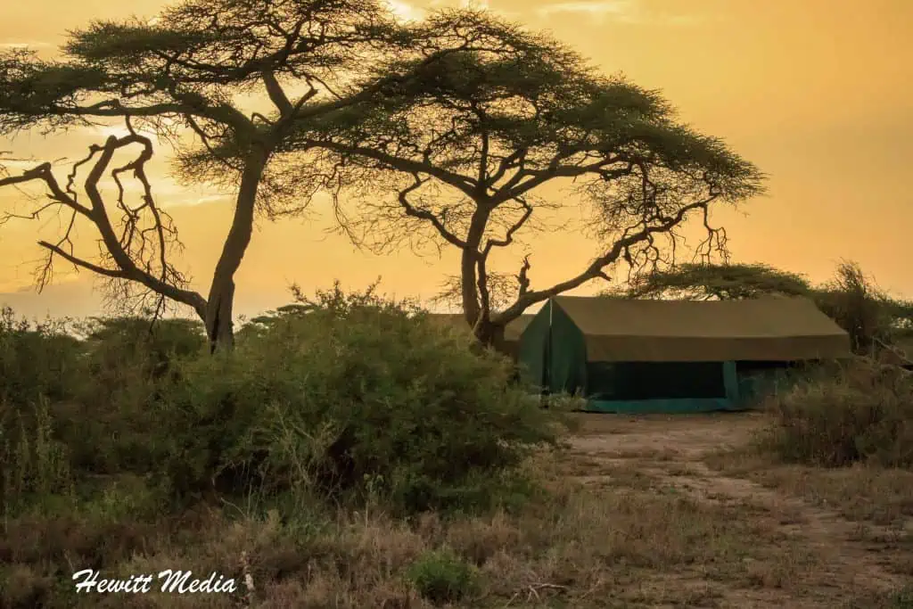 Camping in the Serengeti