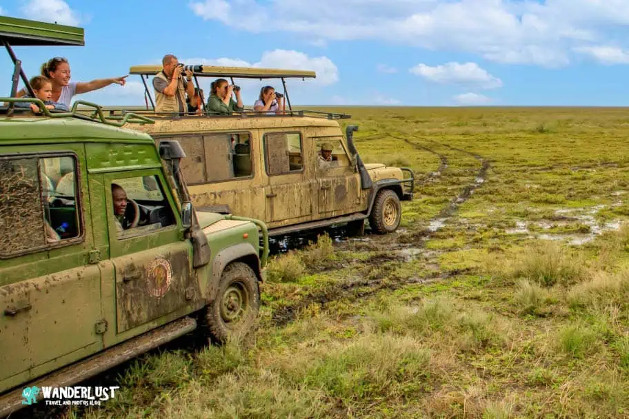 Serengeti National Park Serengeti National Park