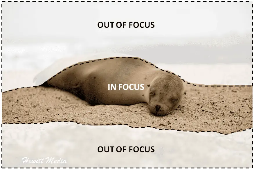 Galápagos Photography Guide - Bokeh Example