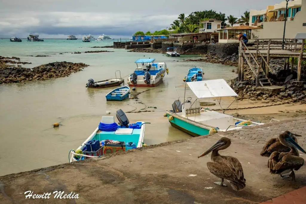 Top 2021 Travel Destinations - The Galapagos Islands