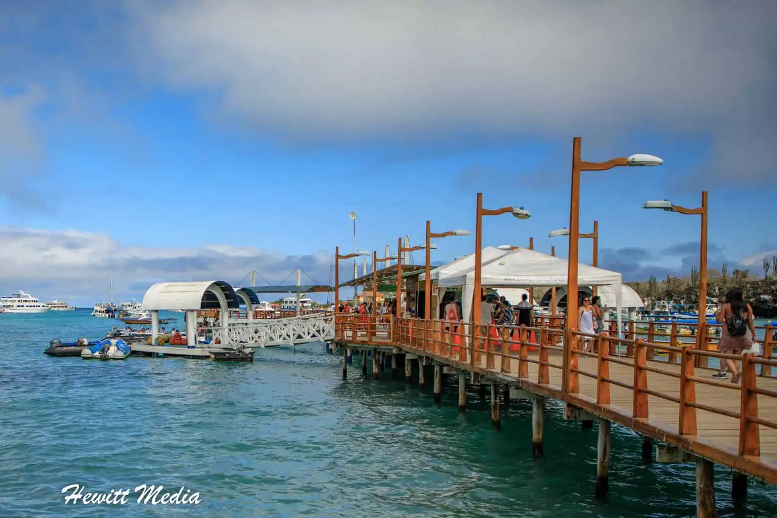 The Galápagos Islands