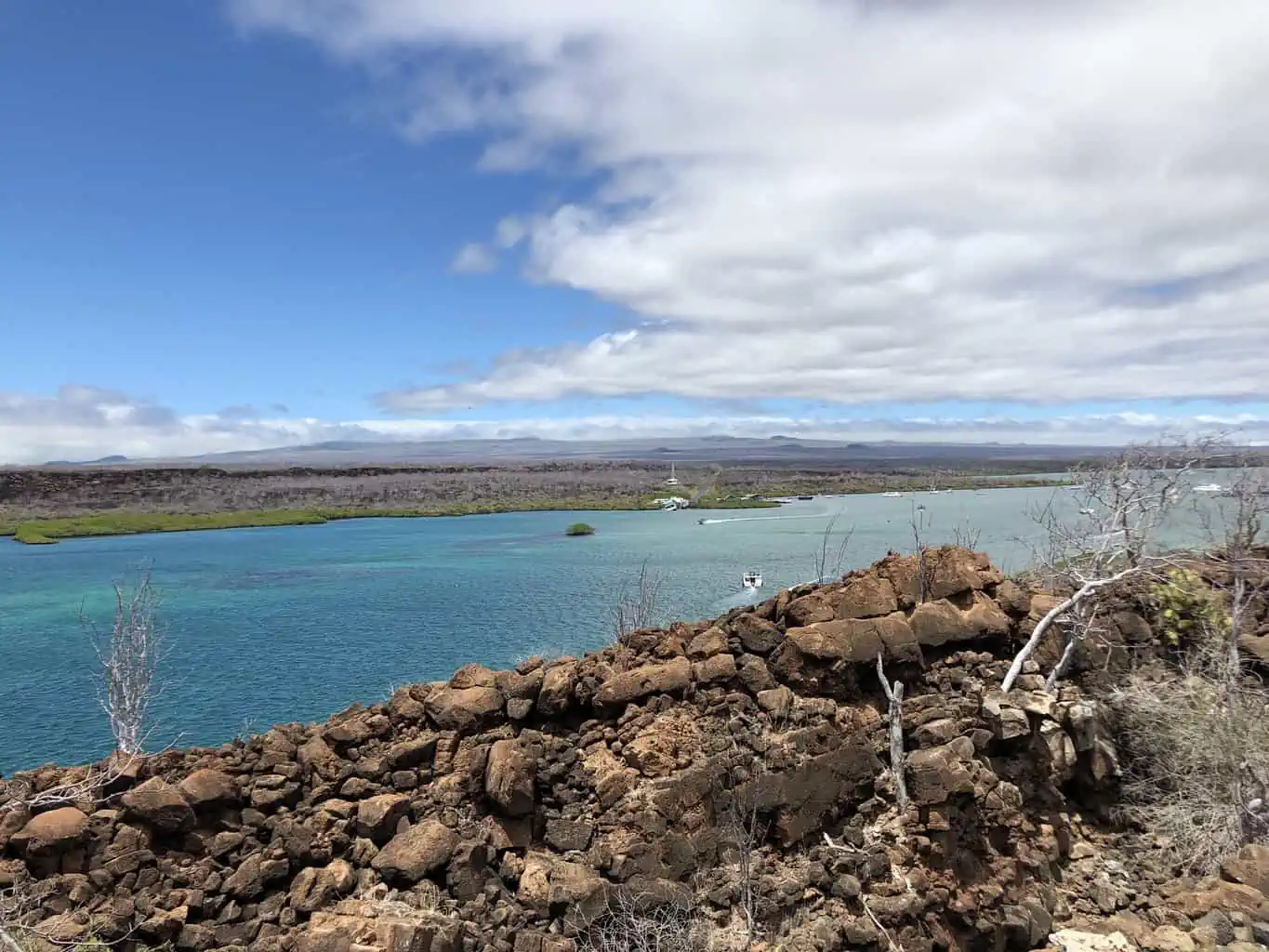 Arriving in the Galápagos