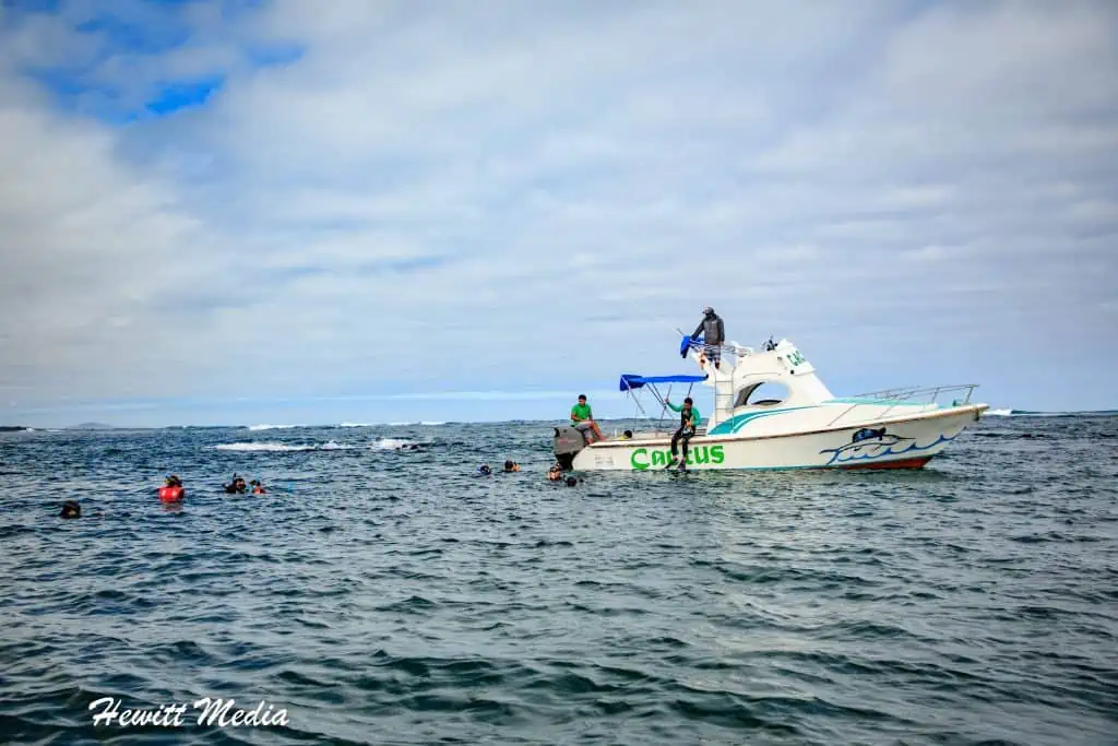 Visit the Galápagos Islands