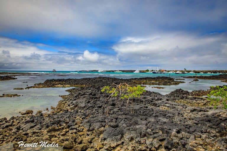 The Ultimate 14-Day Machu Picchu and the Galápagos Islands Itinerary