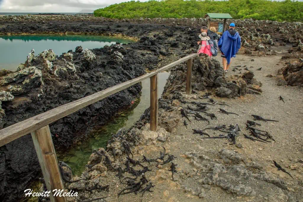 Visit the Galápagos Islands