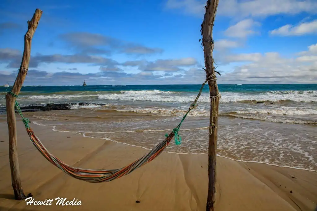 Visit the Galápagos Islands