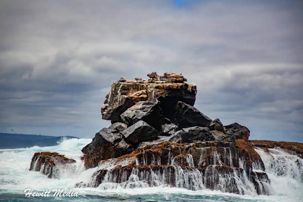 Visit the Galápagos Islands