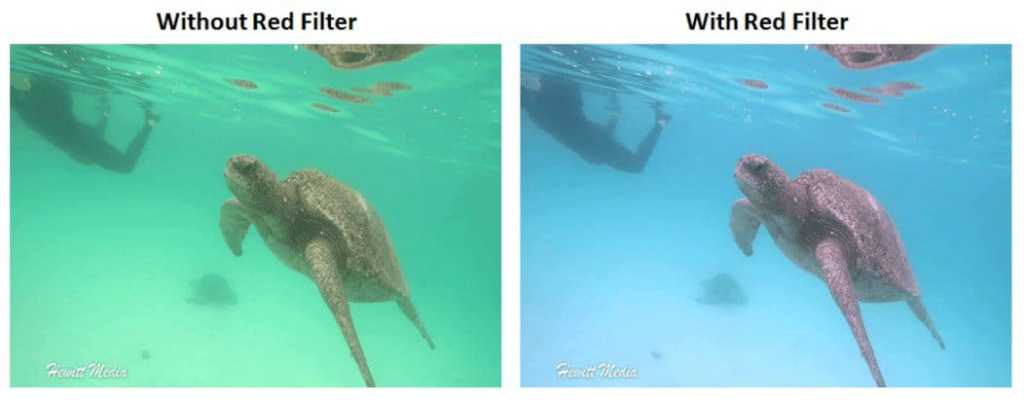 Galápagos Photography Guide - Red Filter Example