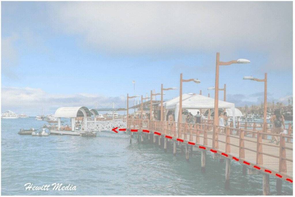 Leading Line Example Galápagos Photography Guide