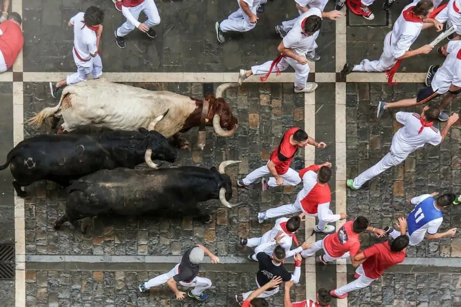 Running of the Bulls Running of the Bulls