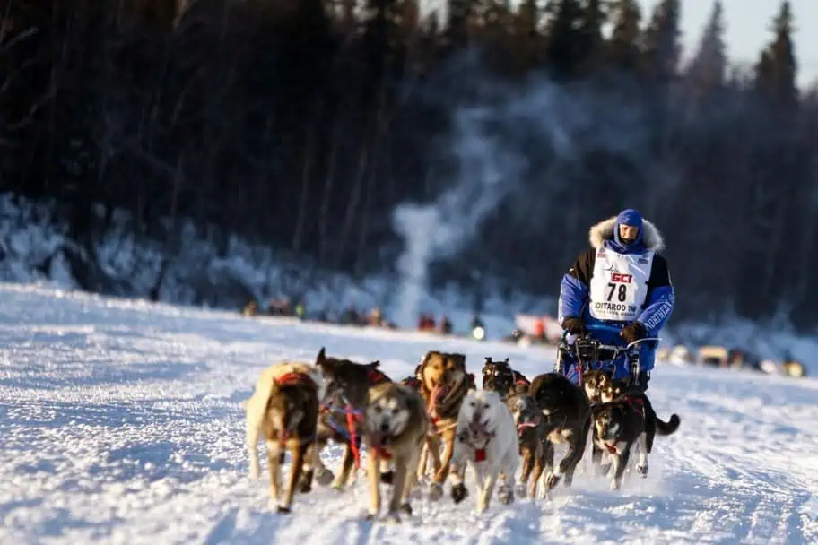 The Iditarod The Iditarod