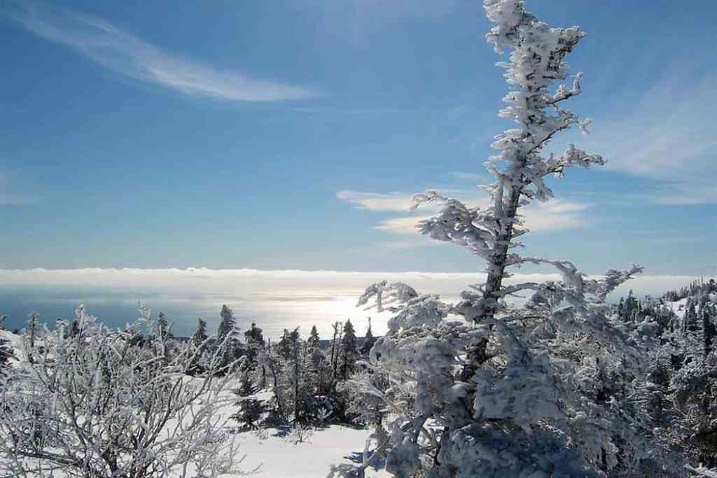 National Parks to Visit in the Wintertime - Acadia