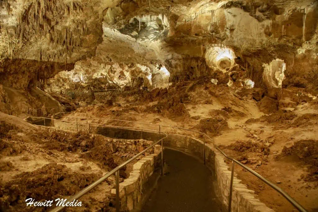 Carlsbad Caverns National Park Guide