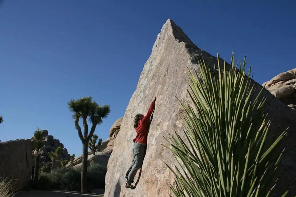 Joshua Tree Rock Climbing
