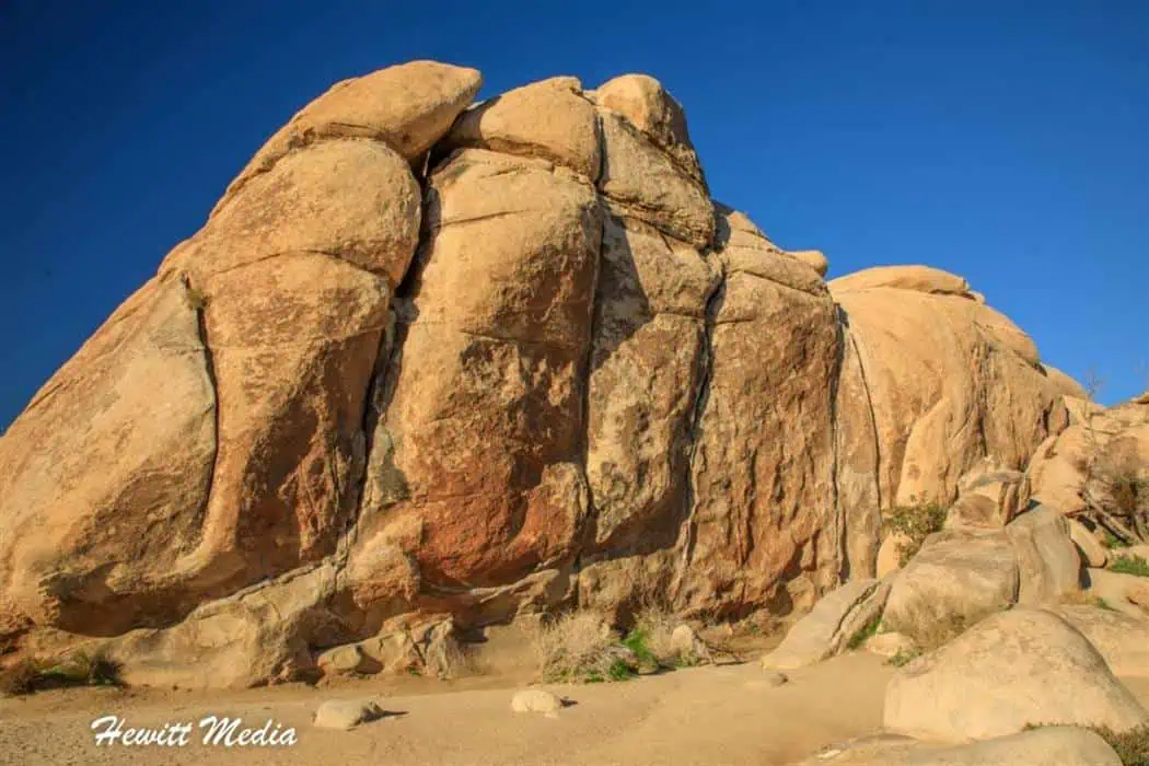 Rock Climbing and Scrambling Joshua Tree Rock Climbing and Scrambling