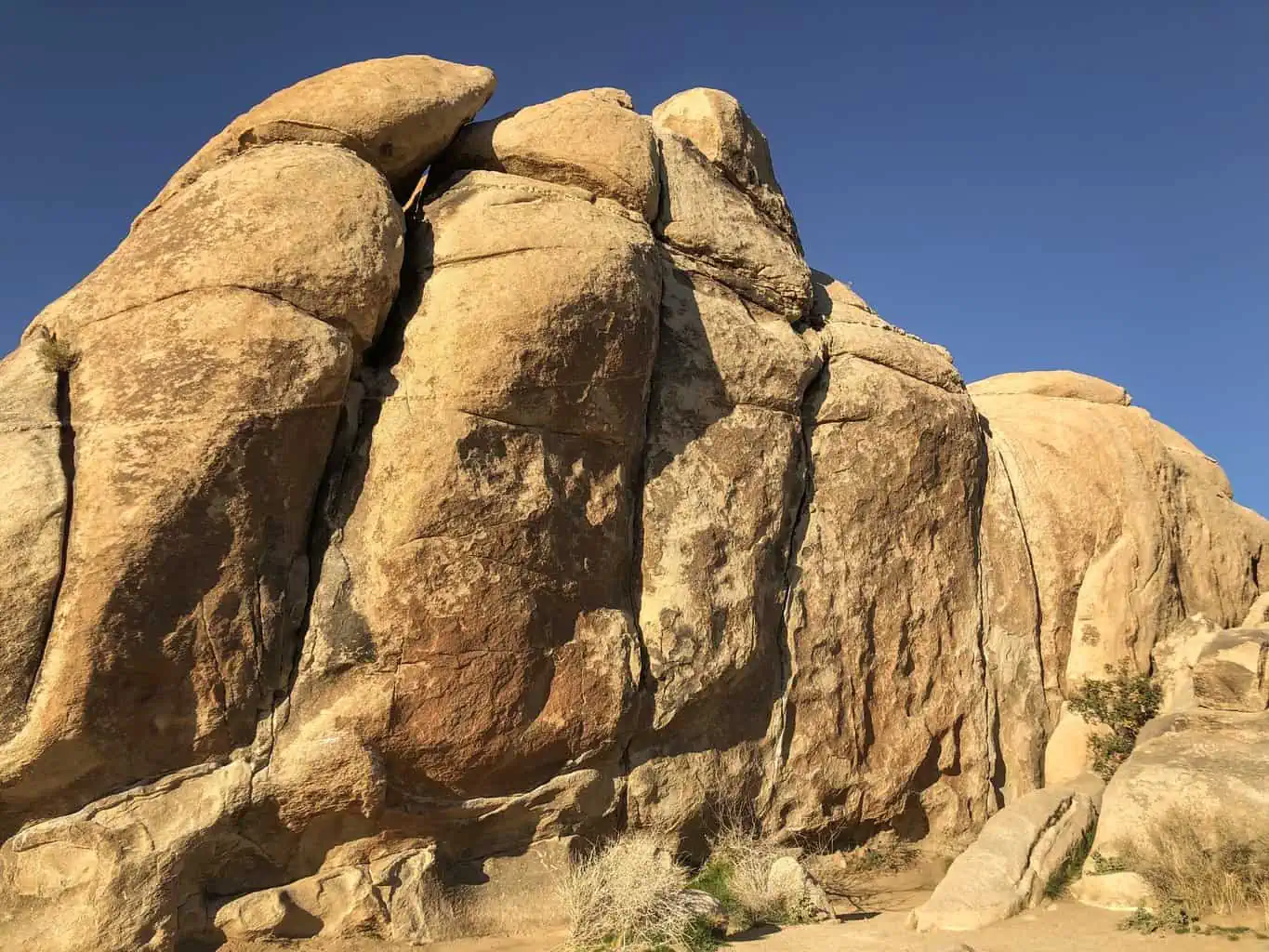 Joshua Tree National Park