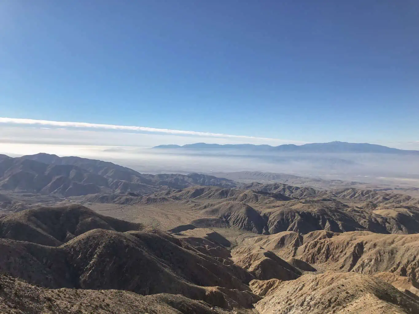 Joshua Tree National Park