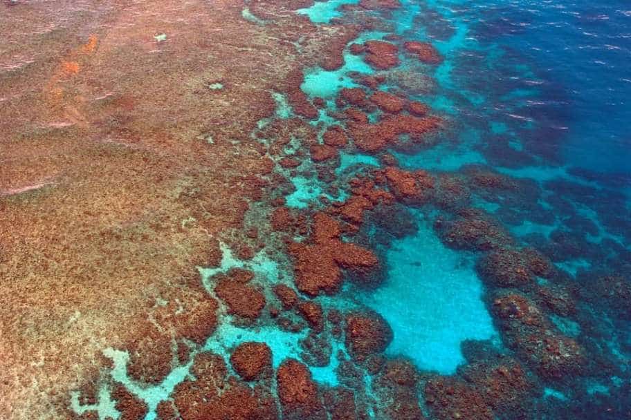 Dive the Great Barrier Reef Top Travel Experiences - Snorkel at the Great Barrier Reef